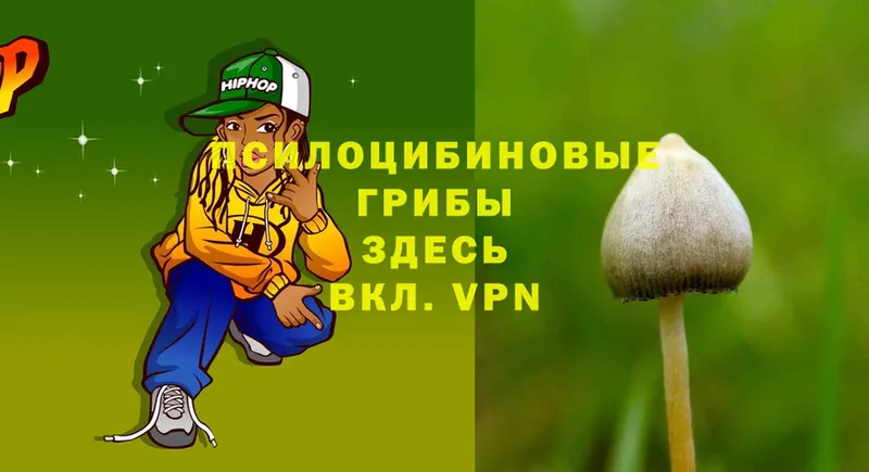 мориарти формула  Канаш  Галлюциногенные грибы Psilocybine cubensis 